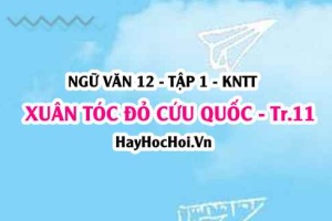 Soạn bài Xuân tóc đỏ cứu Quốc trang 11 Ngữ văn 12 tập 1 Kết nối tri thức